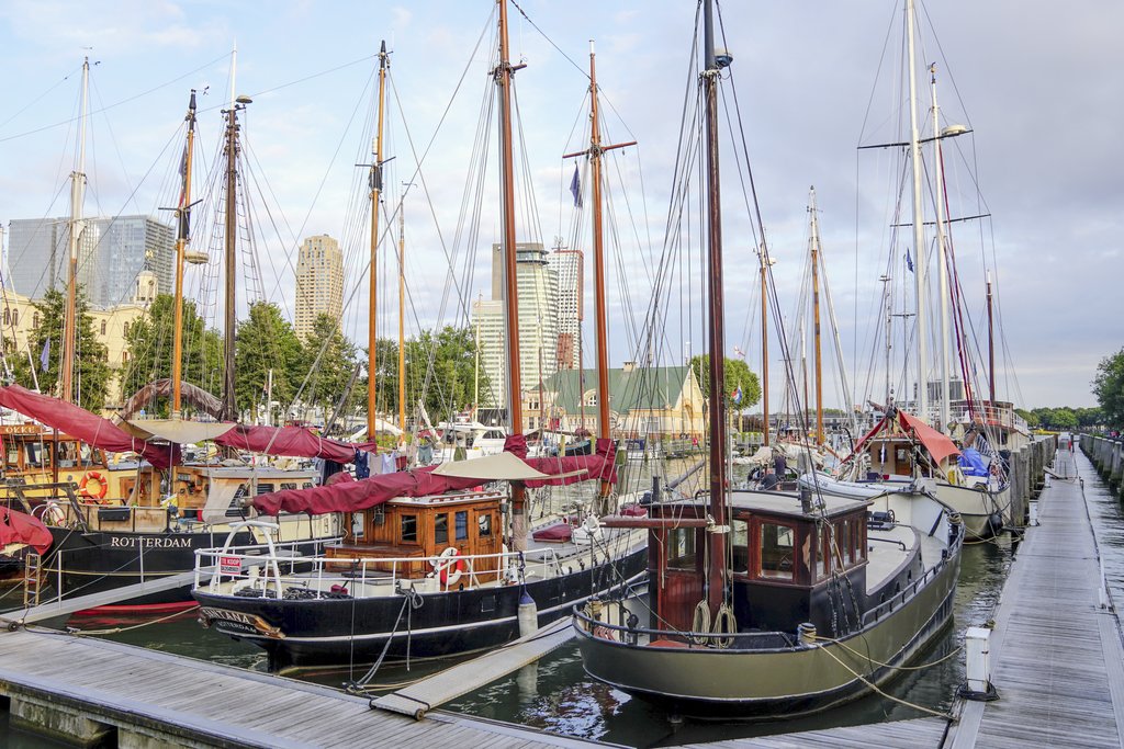 Van Vollenhovenstraat 3 426 ROTTERDAM