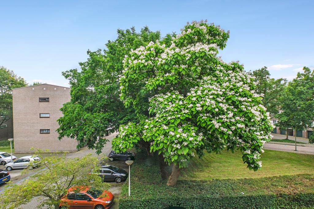 Julianaplantsoen 249  DIEMEN