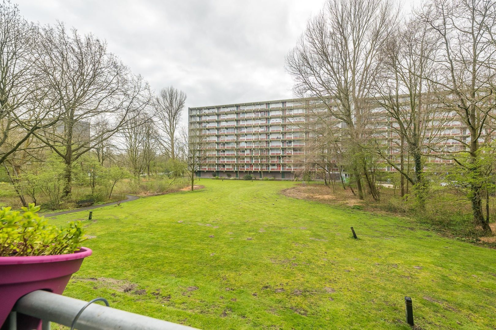 Westervenne 205 A PURMEREND