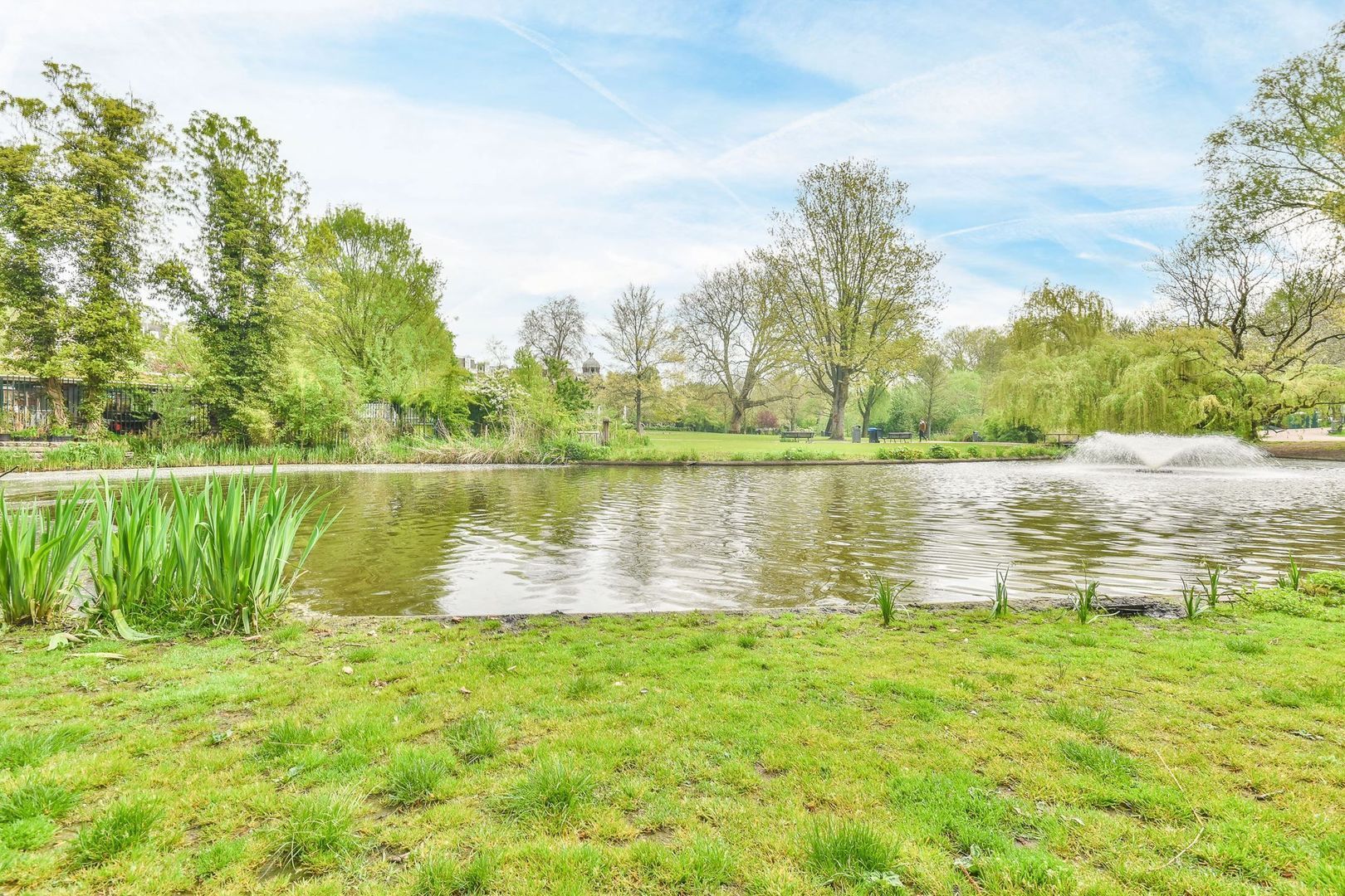 Gerard Doustraat 39 1 AMSTERDAM