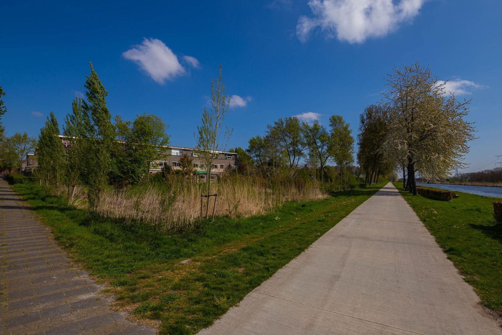 Zijderupsstraat 20  ALMERE