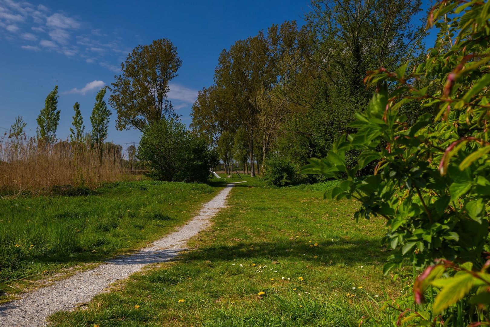 Zijderupsstraat 20  ALMERE