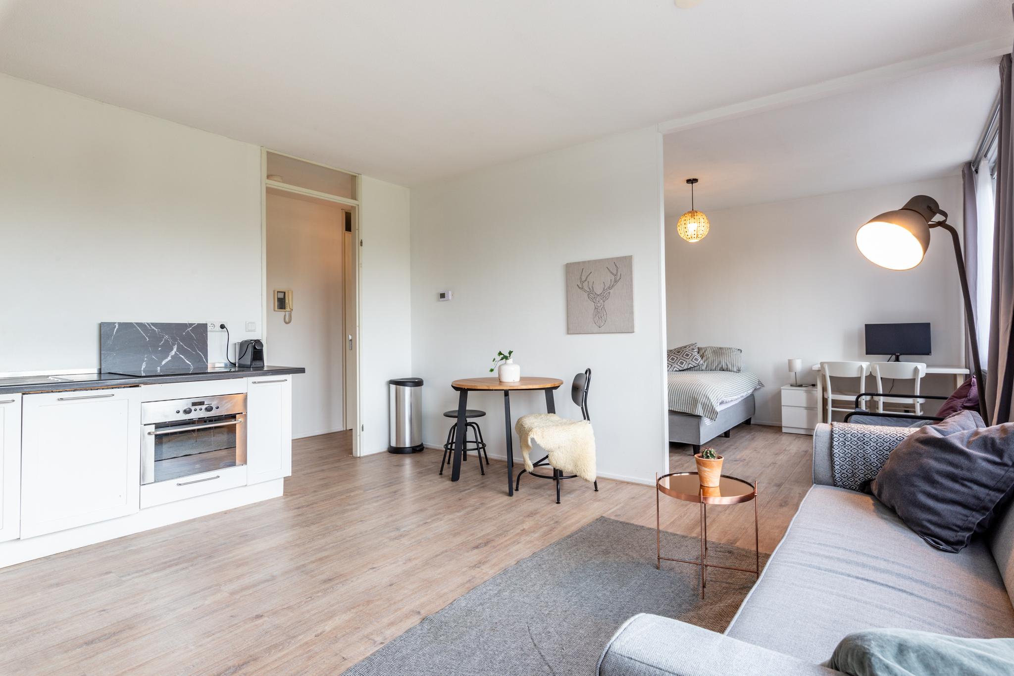 Anna Blamansingel 243  AMSTERDAM