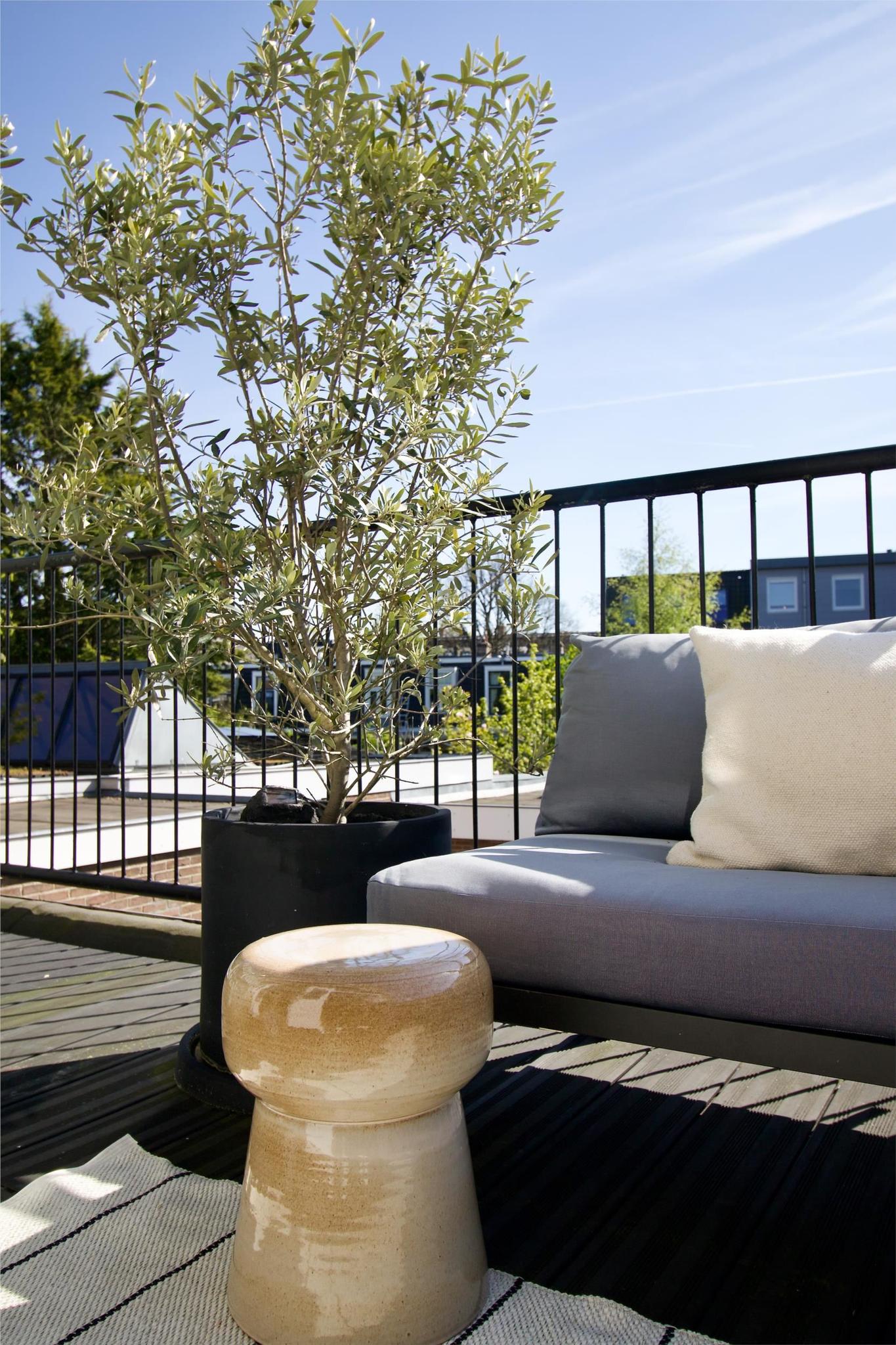 Meester Cornelisstraat 40 RD HAARLEM